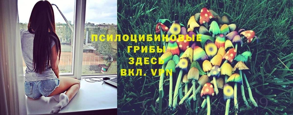 a pvp Беломорск